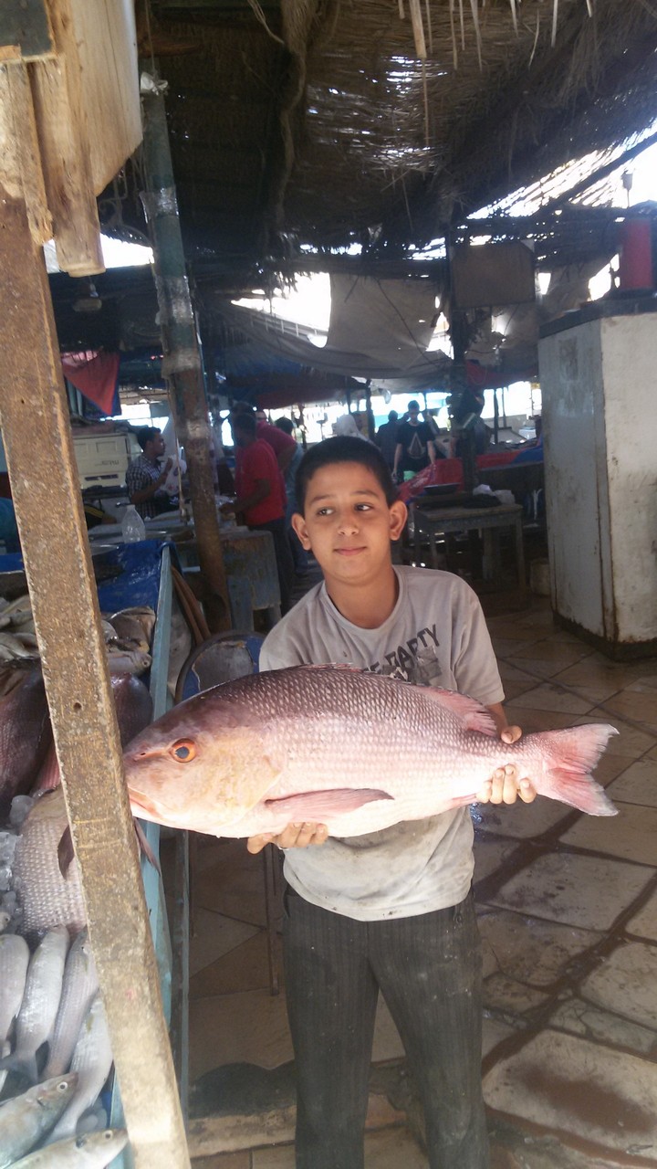 a fish