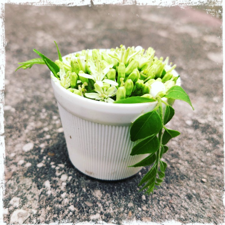 Mini flowerpot