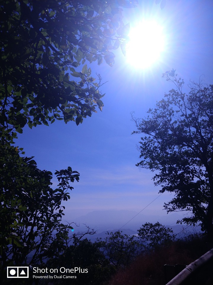 Nature