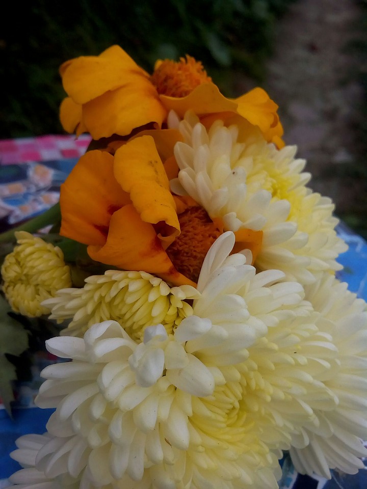 Love making flowers