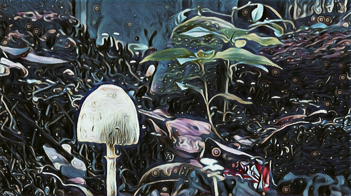 MushRoom