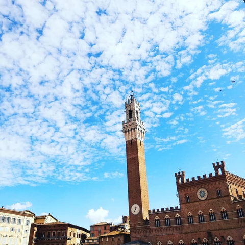 Siena Toscana Italia