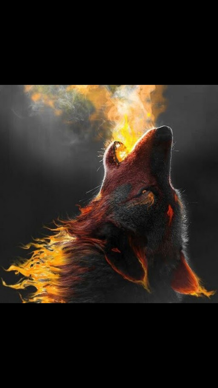 fire fox
