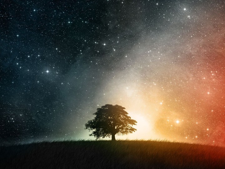 Day and Night