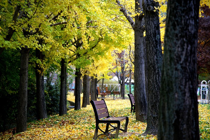 Autumn depth...
