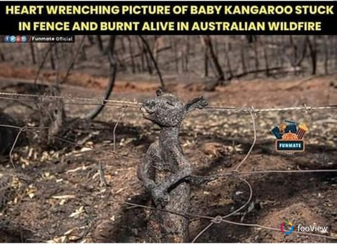 Australian wild fire