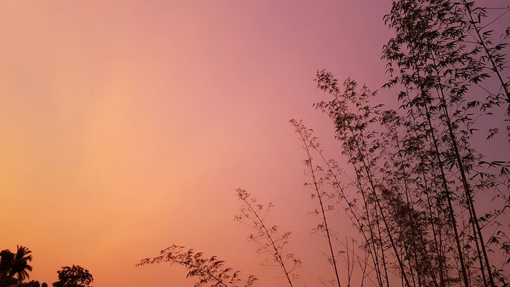 sky color