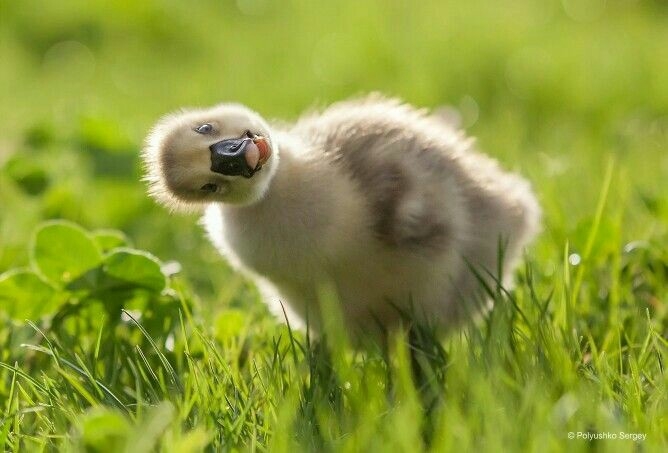 see in my eyes.....