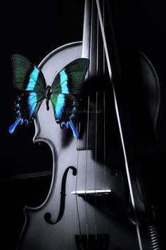 music is the best healer...