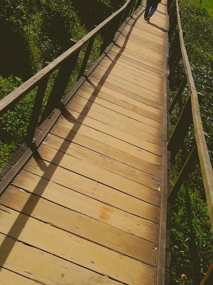life is a journey