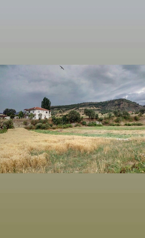 town köy