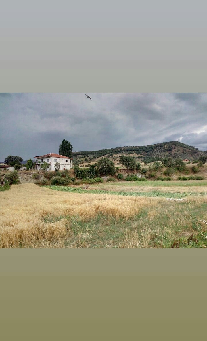 town köy