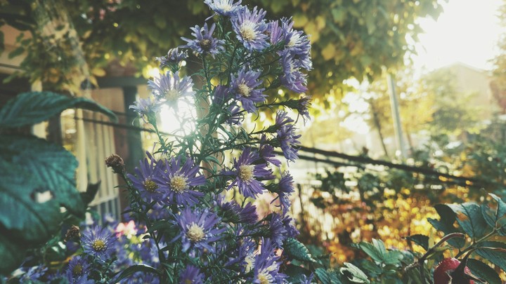 who want's spring to come back