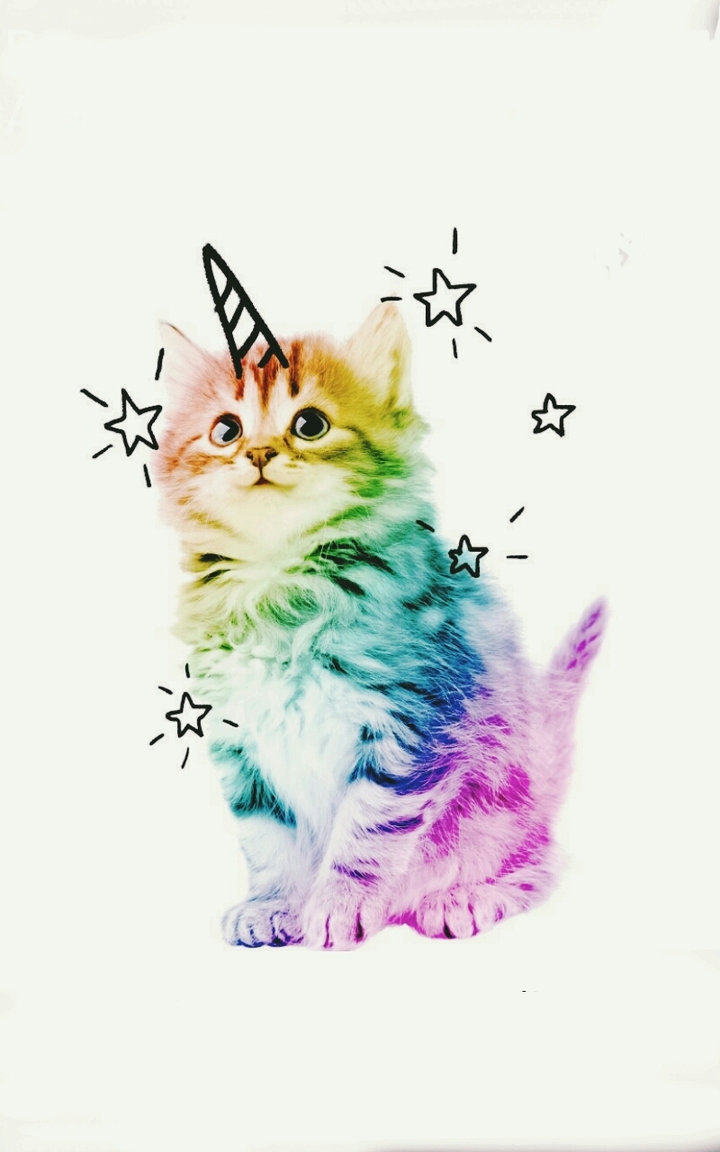 chat licorne ❤
