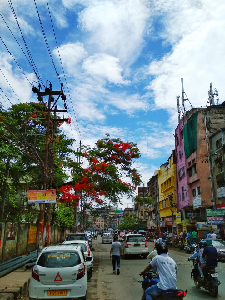 awesome assam