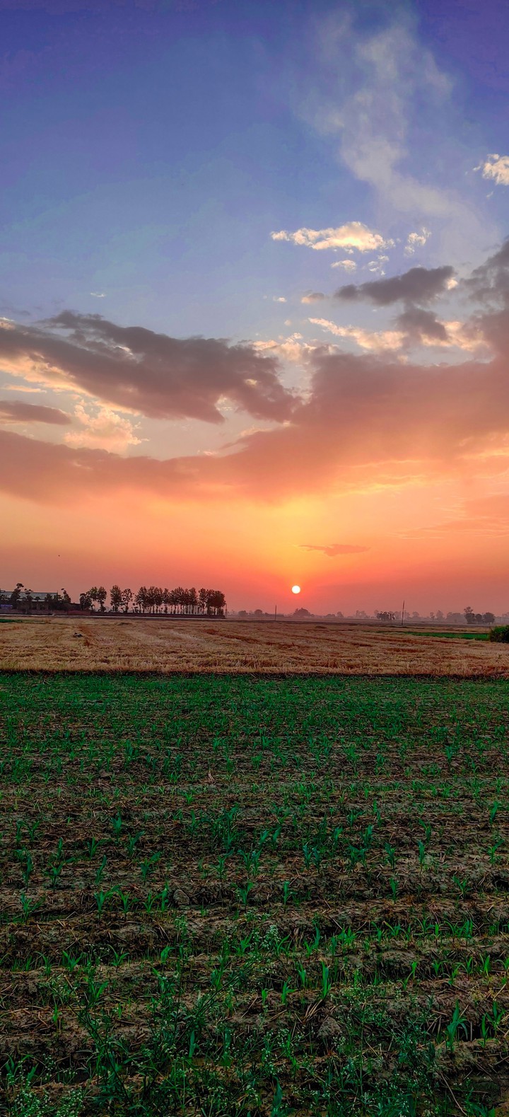 Colourful Nature #punjab