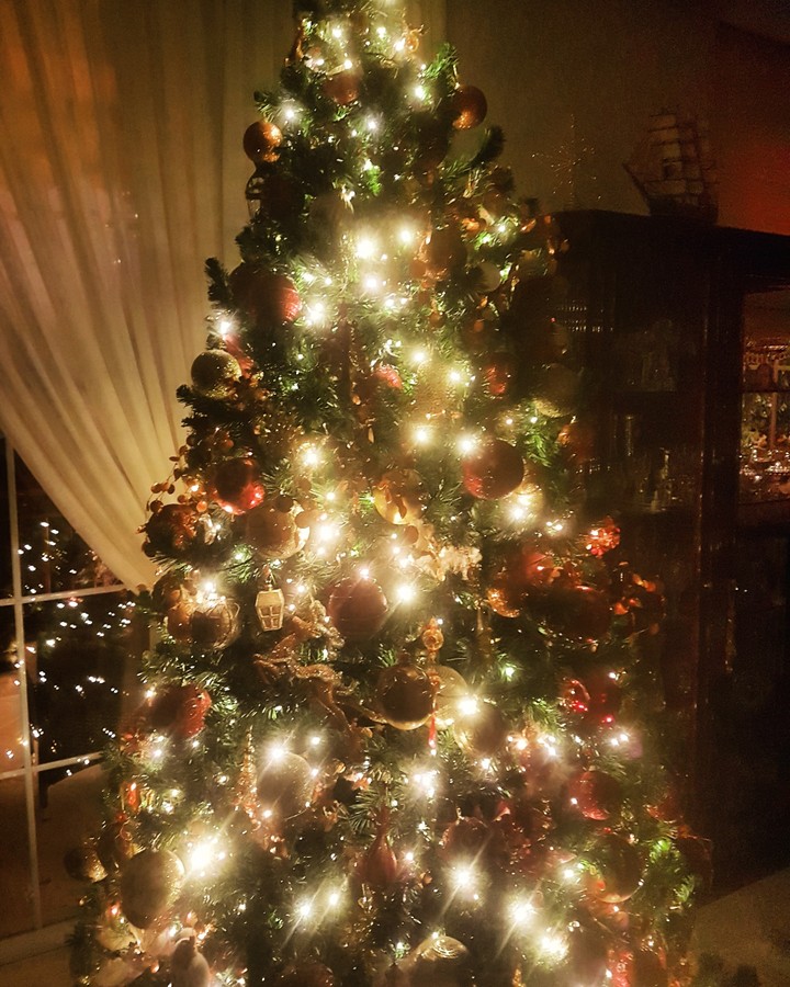 Christmas tree 