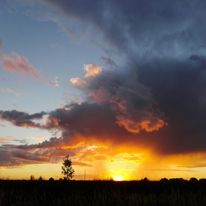 Sunset In The Field