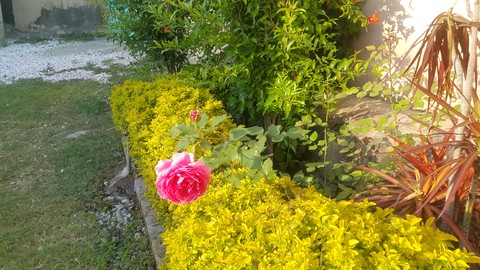 Natural beauty