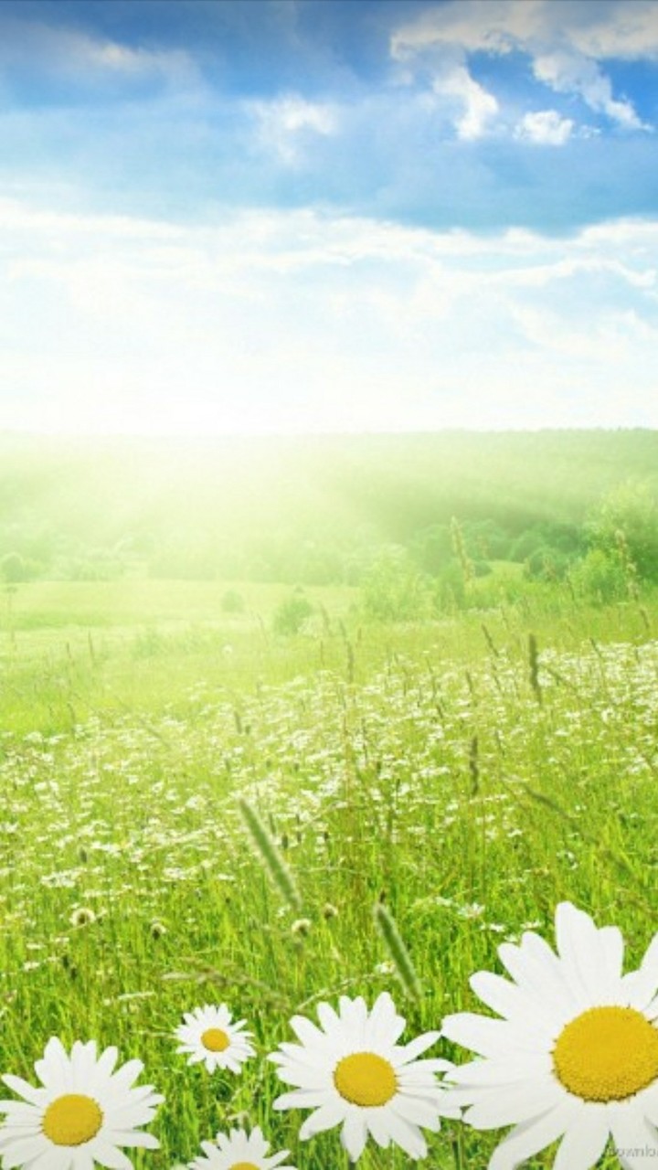 nature valley