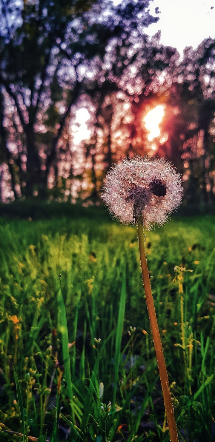 nature is everything