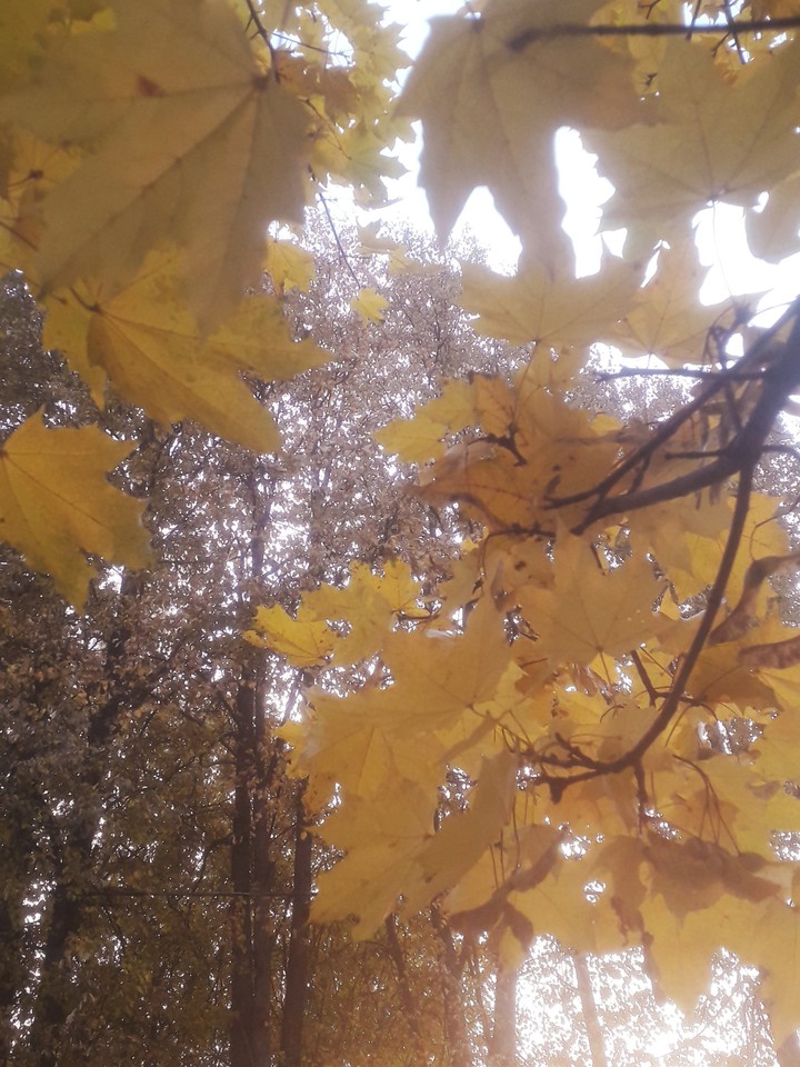 october
