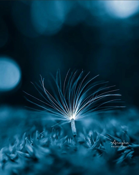 sfondi blue, light