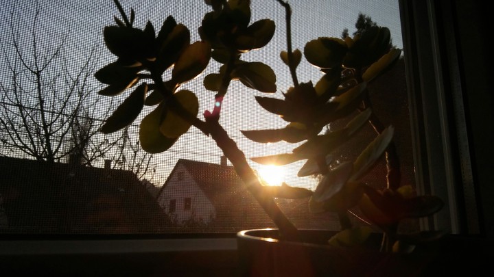 light