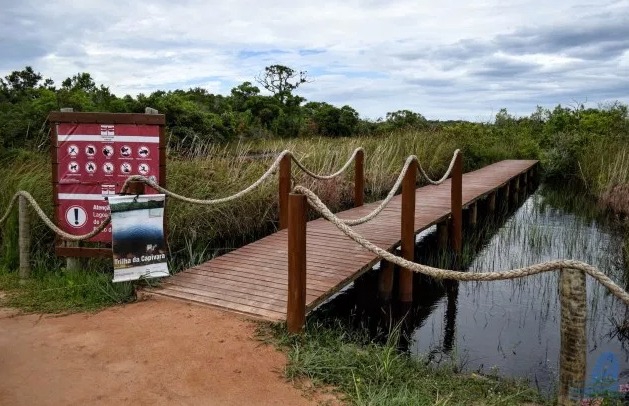 ponte