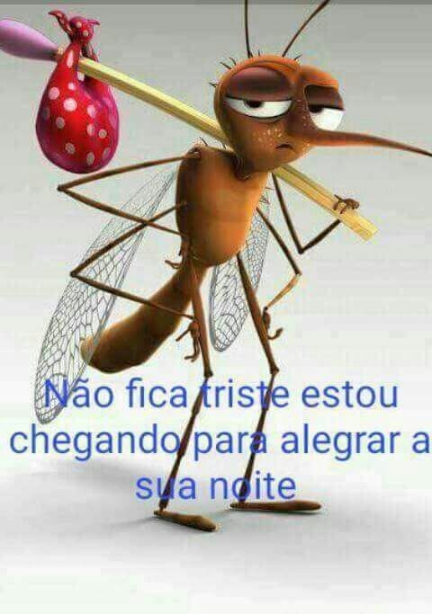 Para curtirem meus amigos.