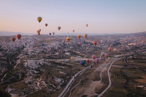 beauty of the world