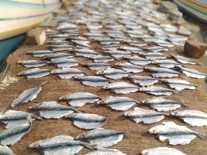 dry fish