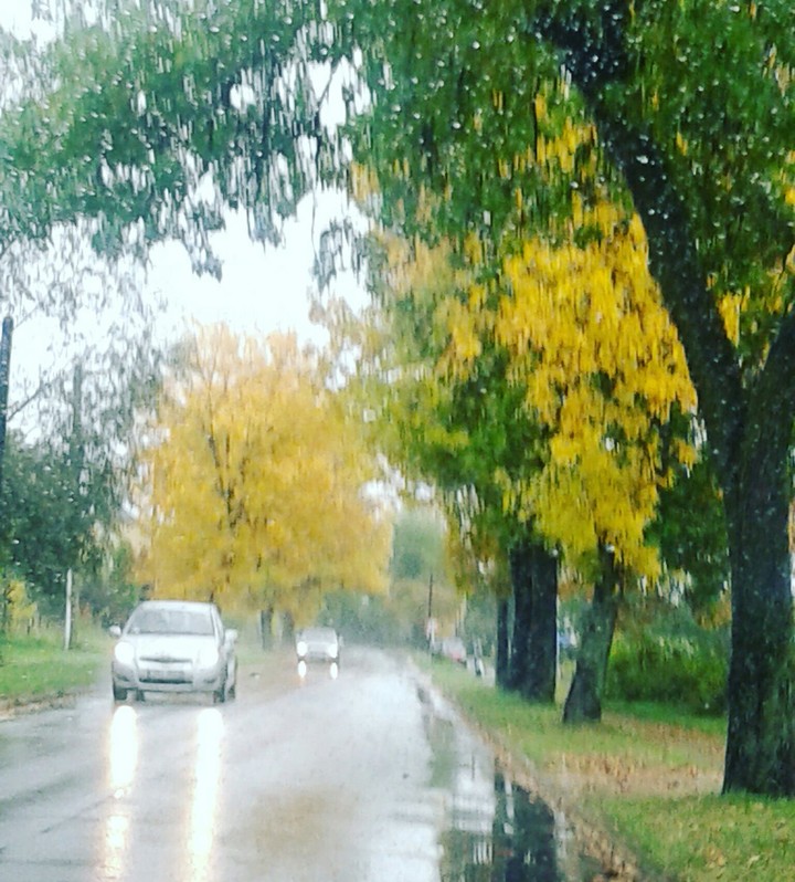 Deszczowy dzień .