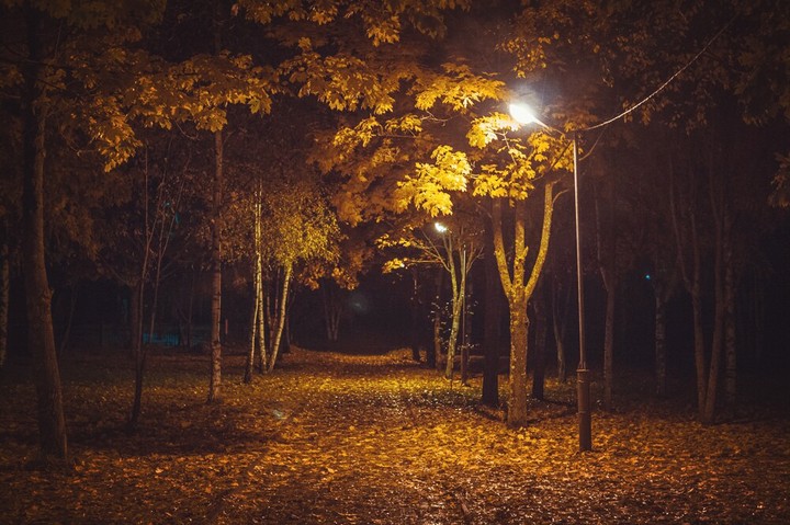 night
