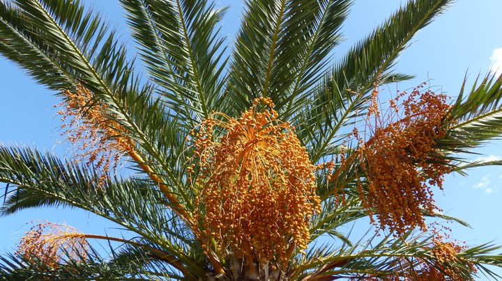 Kreta 2014