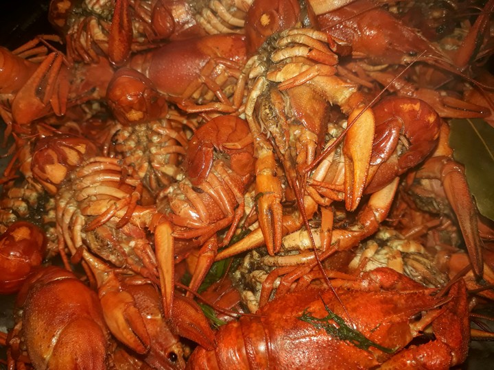 раки