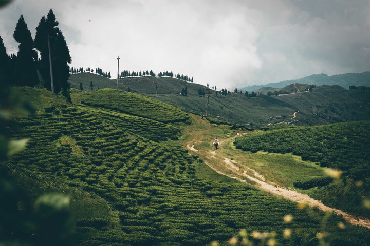 Ilam, Nepal