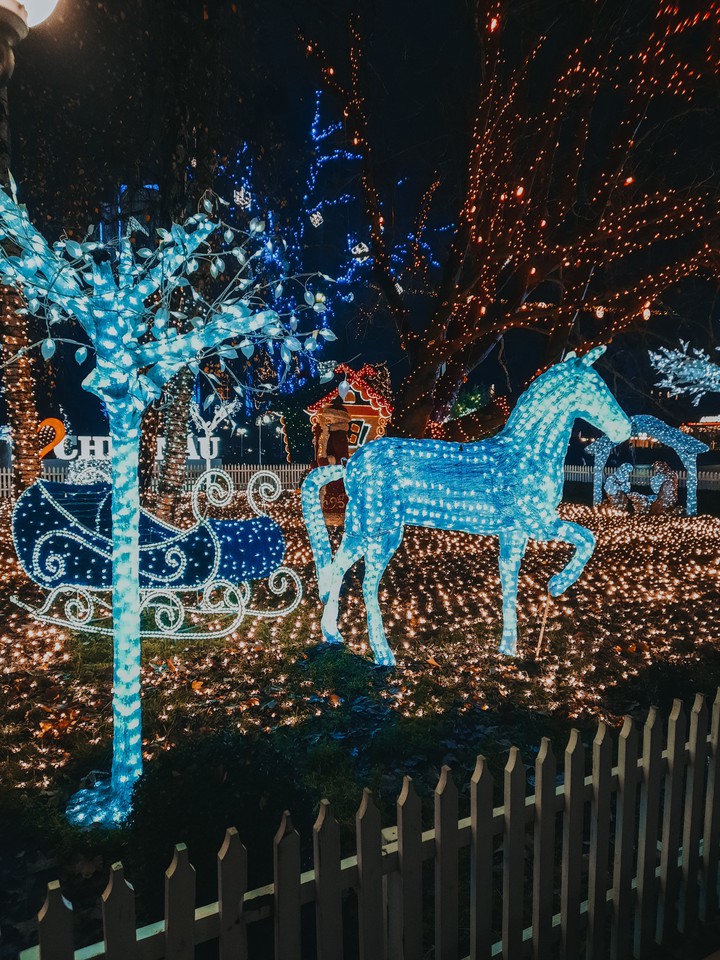 Christmas lights
