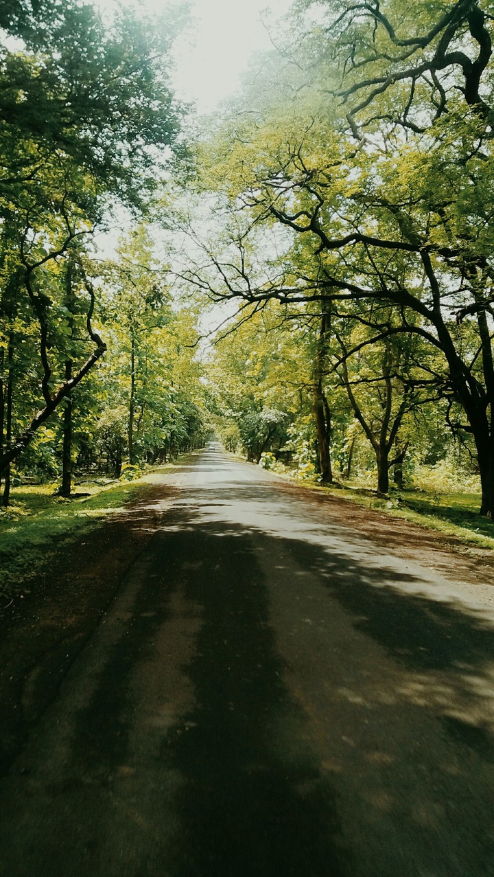 Endless roads
