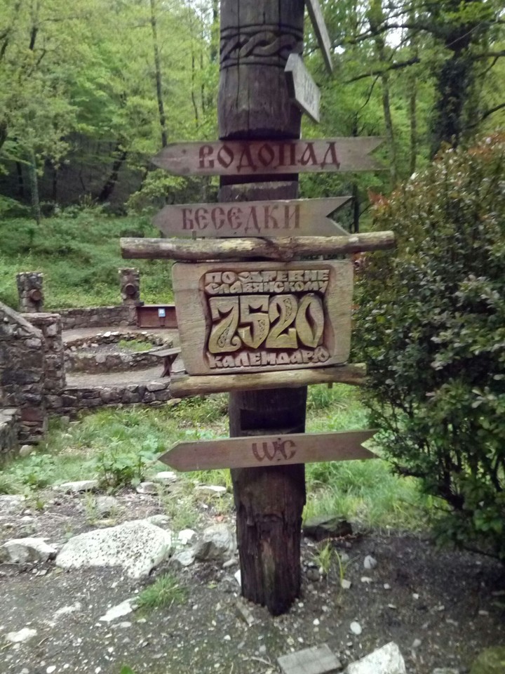 cafe in the wood