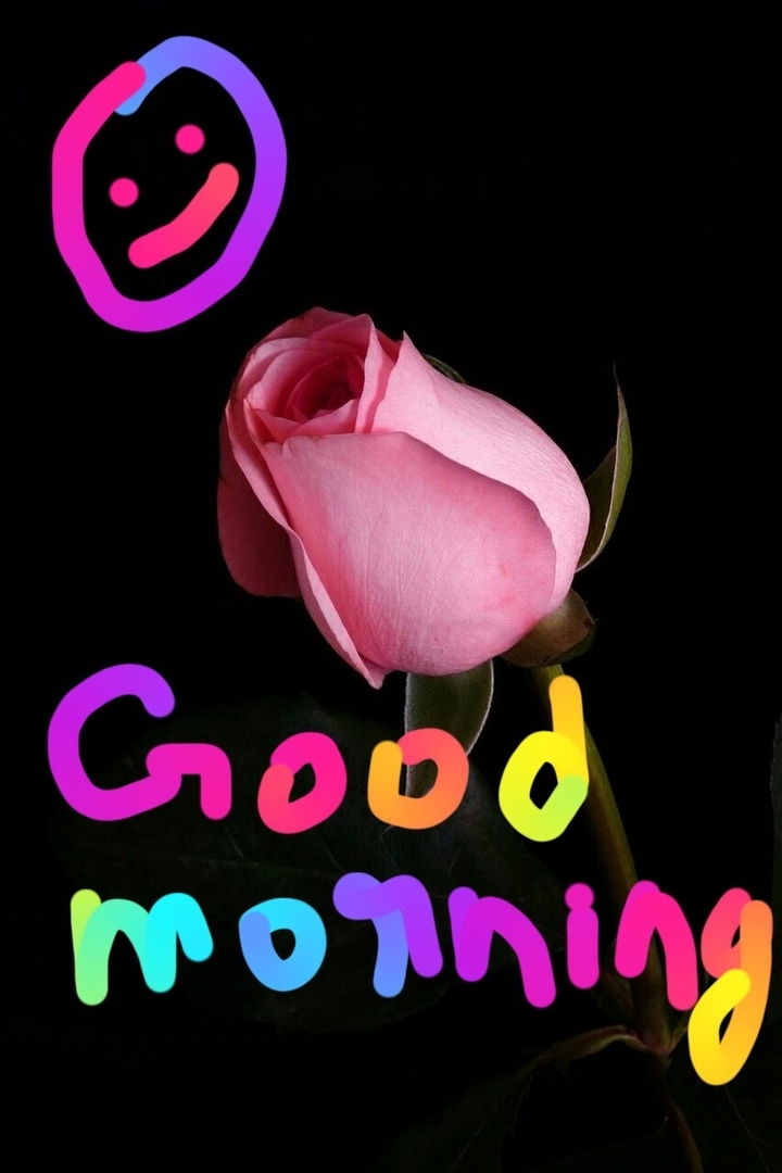 good morning my friends