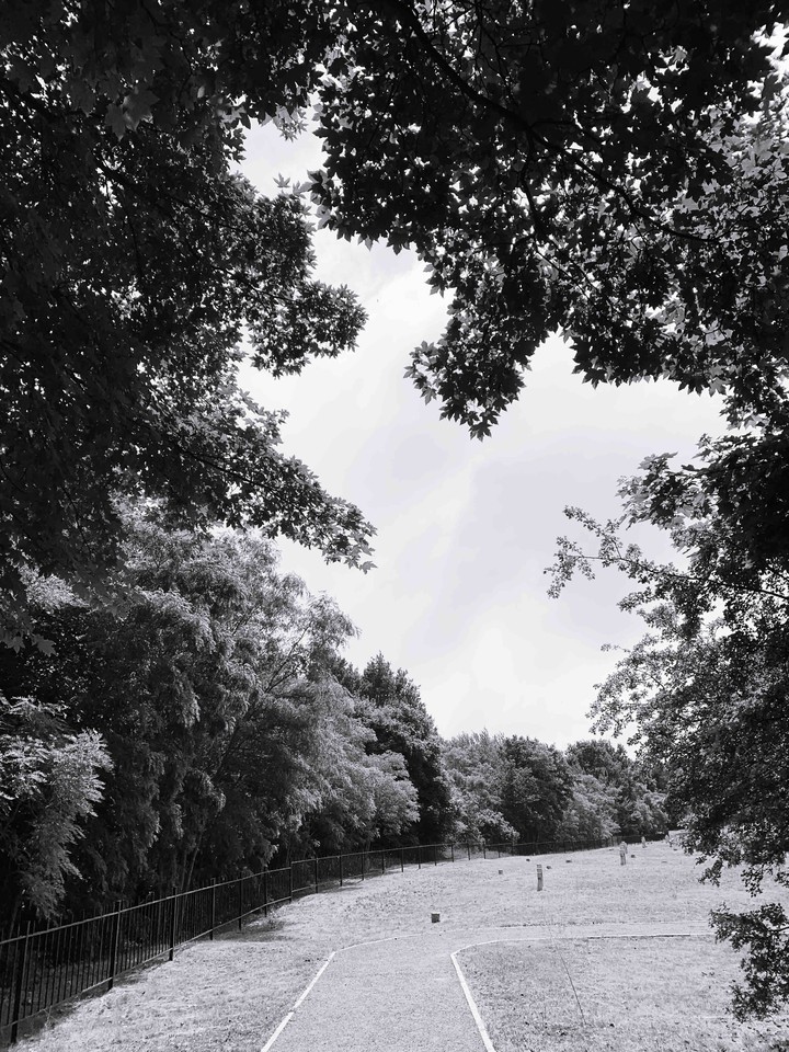 cemetery
