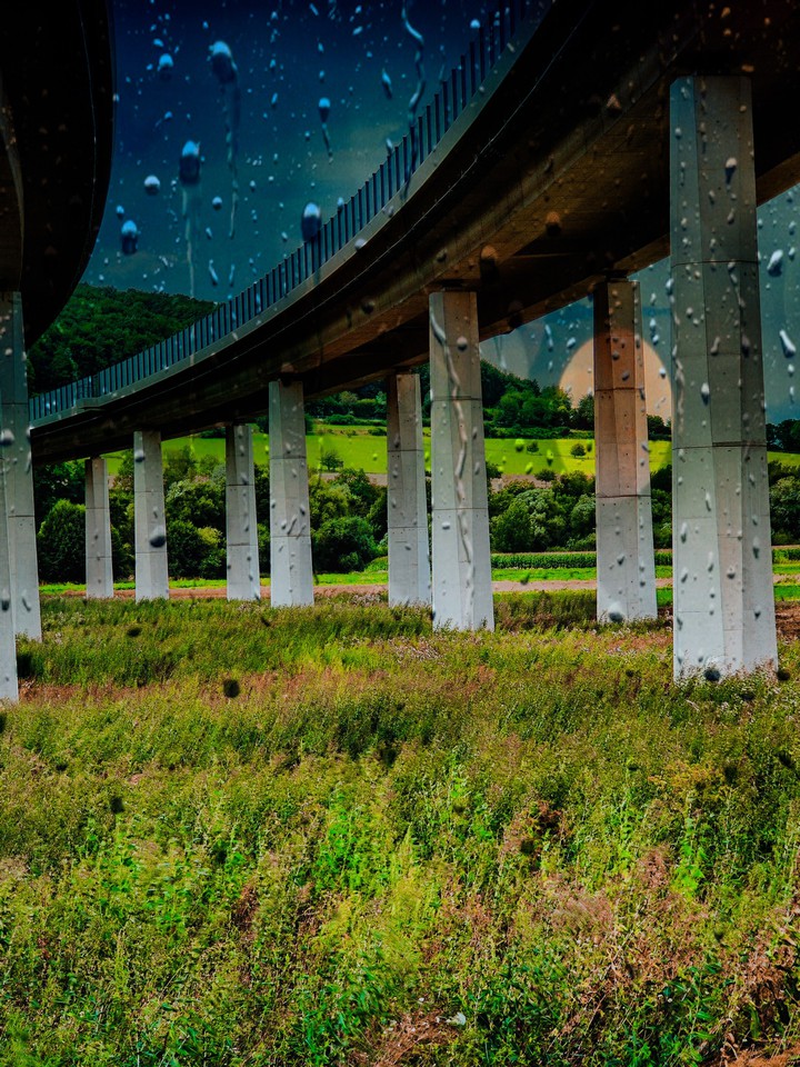 Bridge