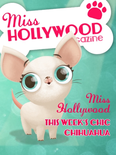 IM MISS HOLLYWOOD