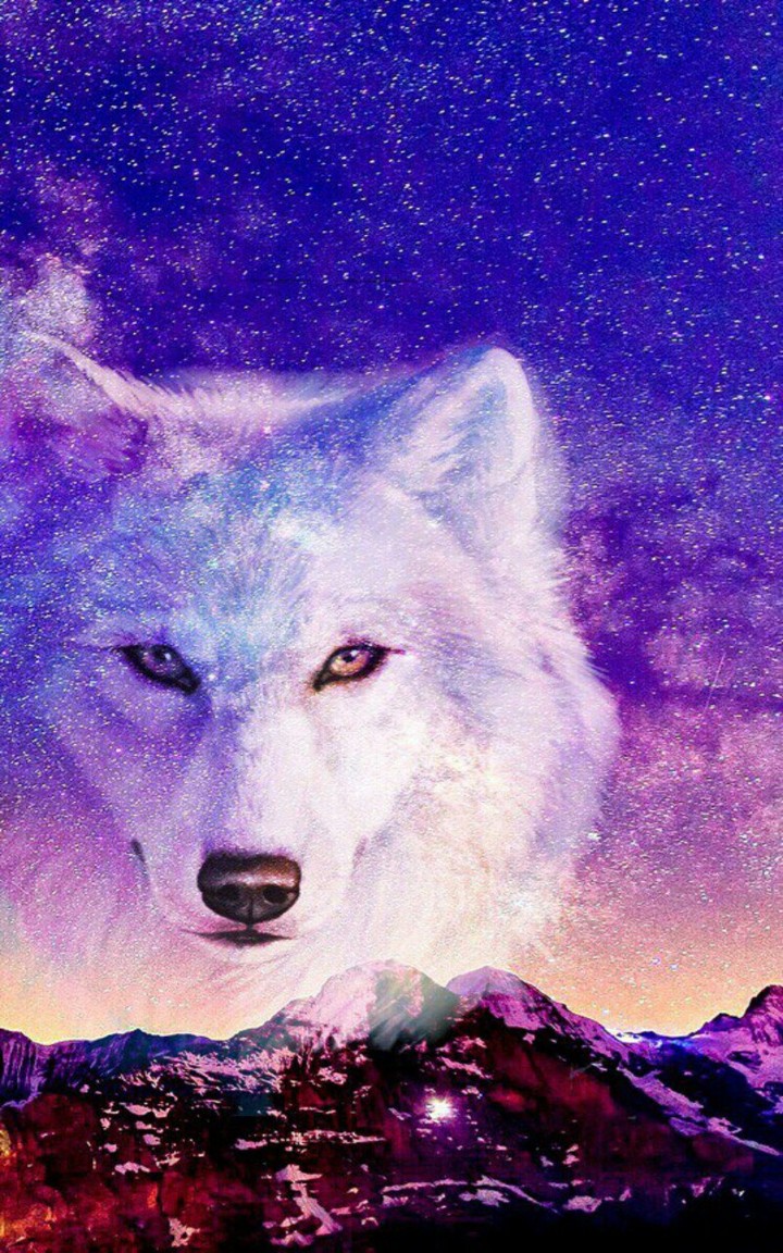 wolf ★
