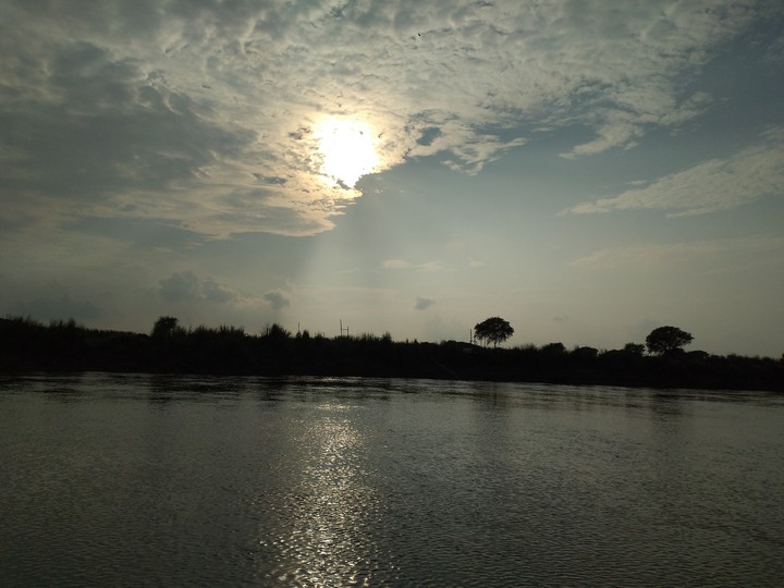River Bank