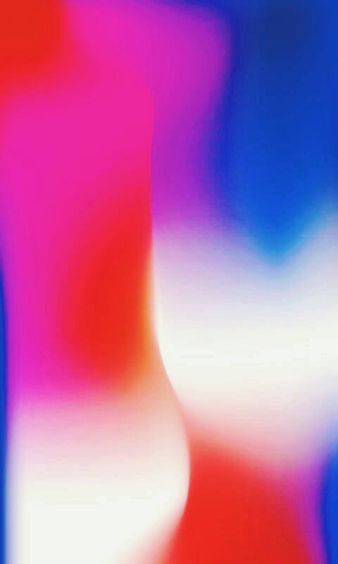 iPhoneX