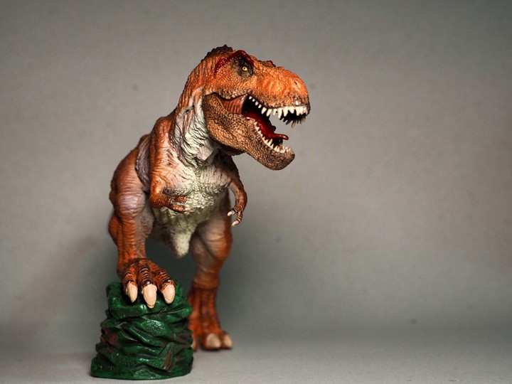 tyrannosaurus