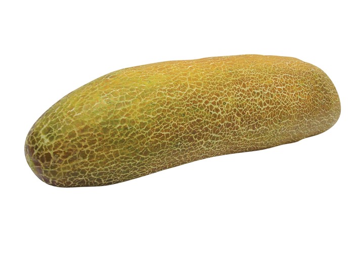 음식이미지
