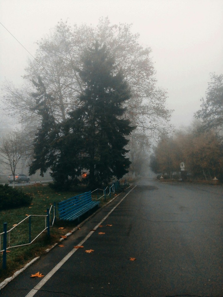 туман